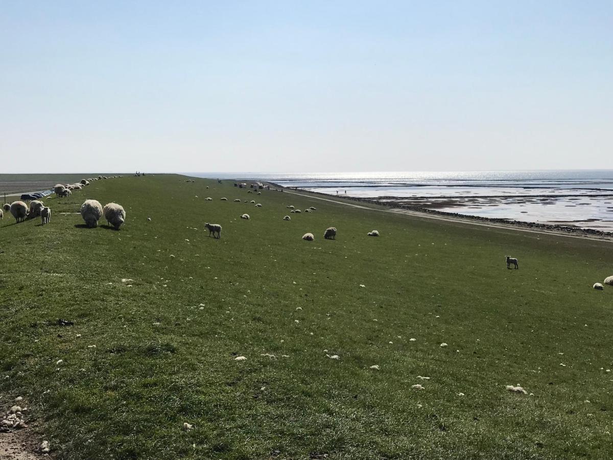 Ferienwohnung Fuer Grosse Familien Im Haus Akunak Büsum Exterior foto